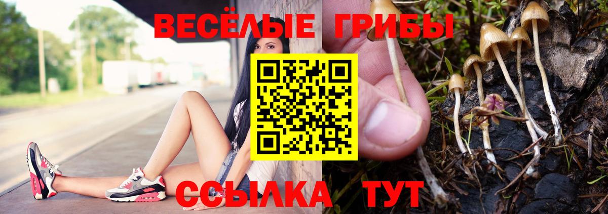 купить  сайты  Галлюциногенные грибы ЛСД  Вход с VPN  Ковров 